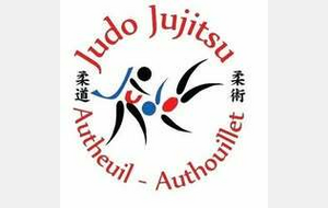 Tournoi Mini-Poussins - Autheuil-Autouillet (27)