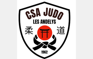 Tournoi Eveils 2 / Mini-Poussins / Poussins - Les Andelys (27)
