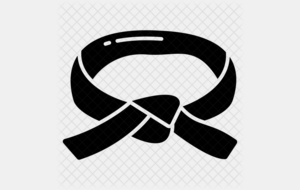 Test efficacité combat (SHIAI) - Montivilliers (76)