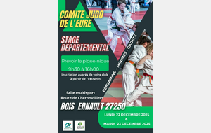 Stage départemental Benjamins - Minimes - Cadets