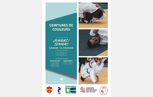 Ceintures de couleurs - Mondeville (14)